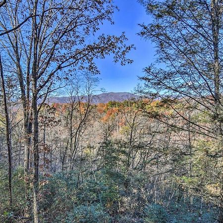Natures Retreat With Hot Tub 7 Mi To Bryson City Whittier 外观 照片